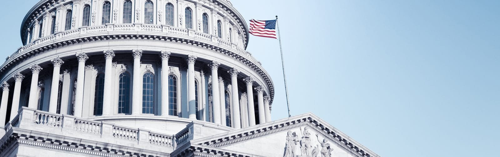 Government Building Banner