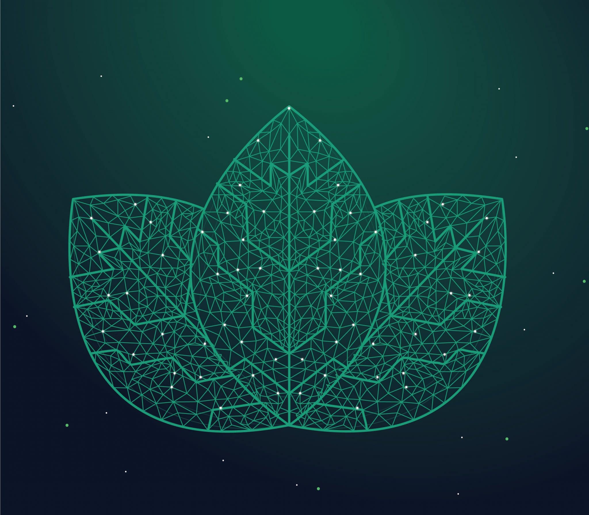 Digital Leaf